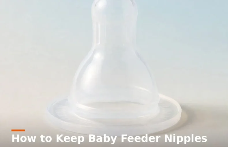 Shield Evenflo silicone baby bottle nipple